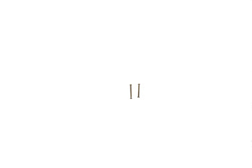 Fossil Bandbevestigingsschroeven ES3268 - 11mm - 2 stuks