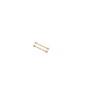 Michael Kors Bandbevestigingsschroeven MK5774 / 74xxxx - 19mm - ∅ 1.9mm - 2 stuks