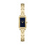 Horlogeband Skagen SKW3170 Staal Doublé 8mm